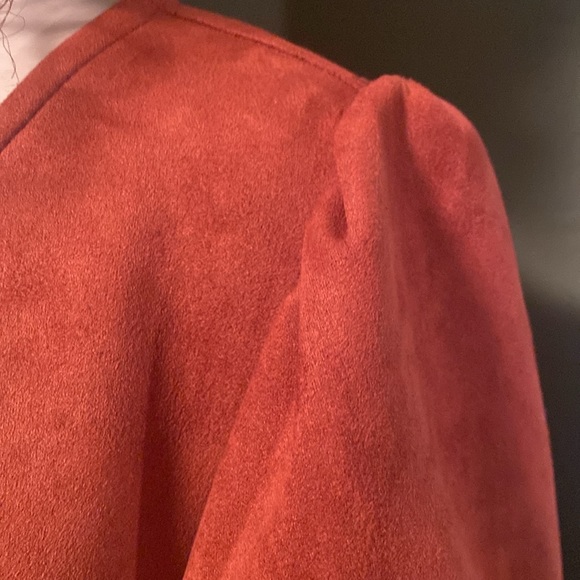 Beautiful faux suede Dress with puff shoulders, color is SPICE. BNWT,  SIZE 12. - Picture 3 of 16